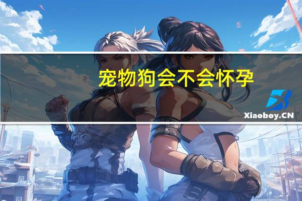 宠物狗会不会怀孕