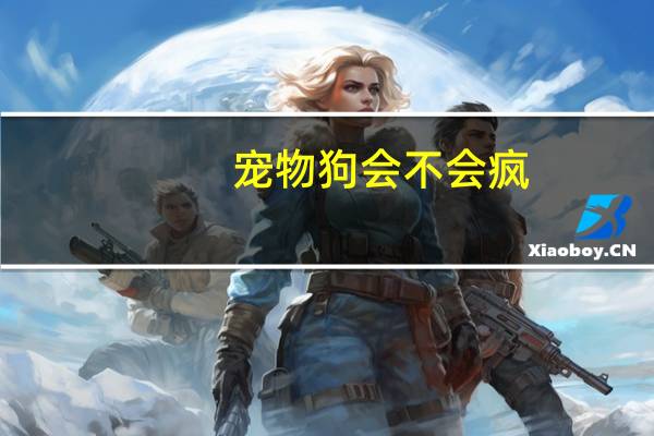 宠物狗会不会疯