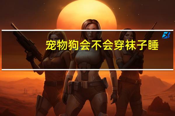 宠物狗会不会穿袜子睡