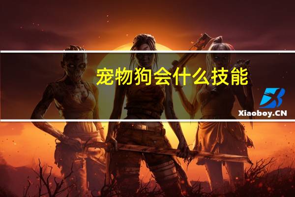 宠物狗会什么技能
