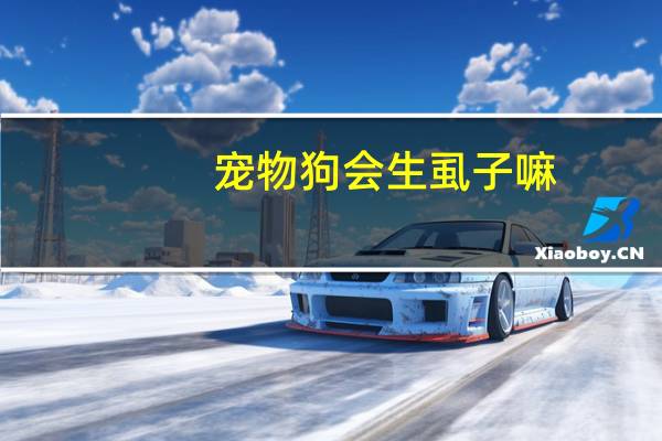 宠物狗会生虱子嘛