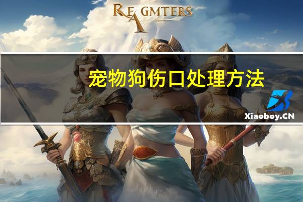 宠物狗伤口处理方法