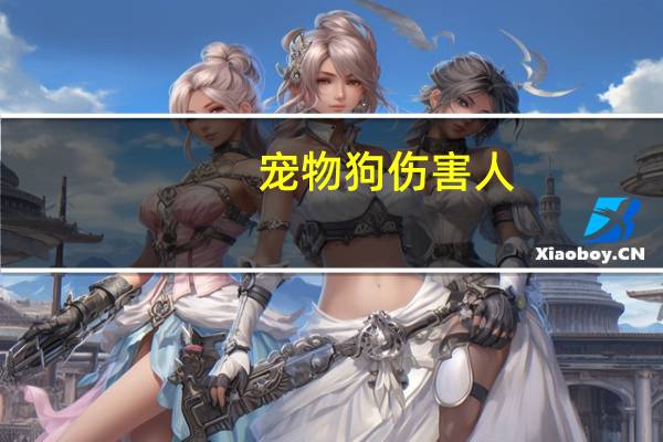 宠物狗伤害人