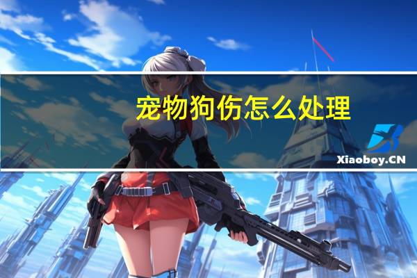 宠物狗伤怎么处理