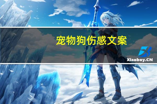 宠物狗伤感文案