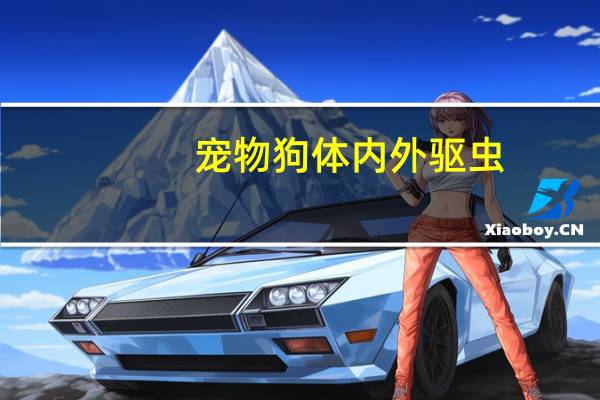 宠物狗体内外驱虫