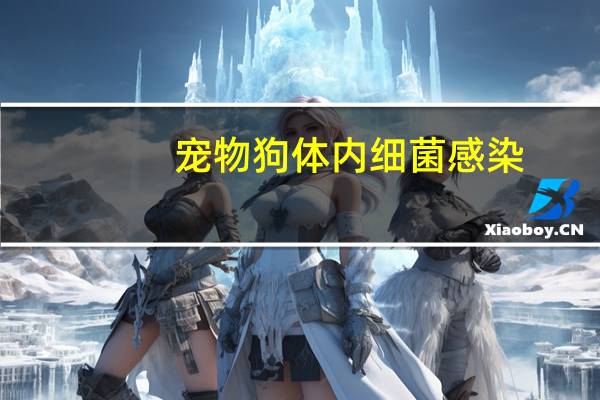 宠物狗体内细菌感染