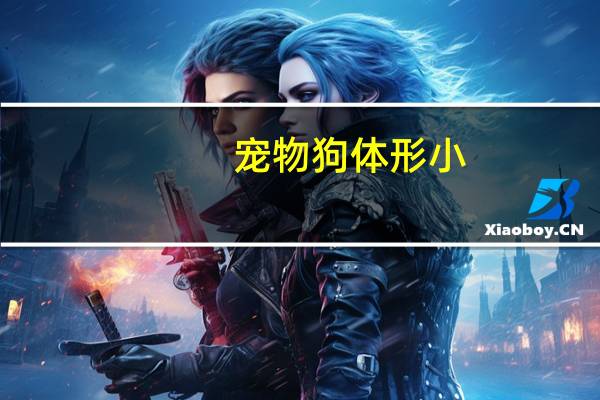 宠物狗体形小