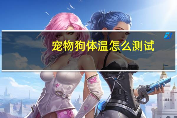 宠物狗体温怎么测试