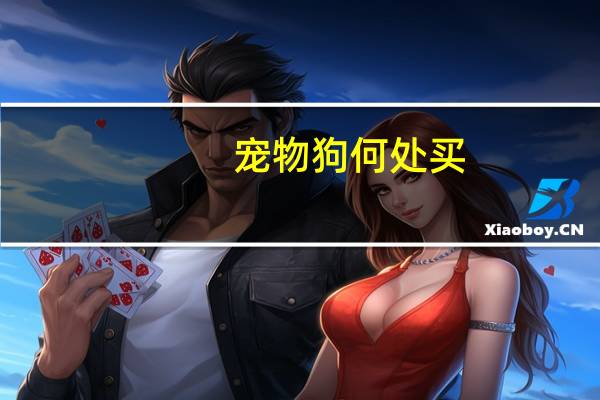宠物狗何处买