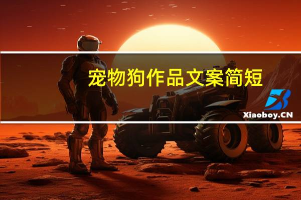 宠物狗作品文案简短