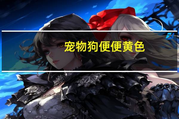 宠物狗便便黄色