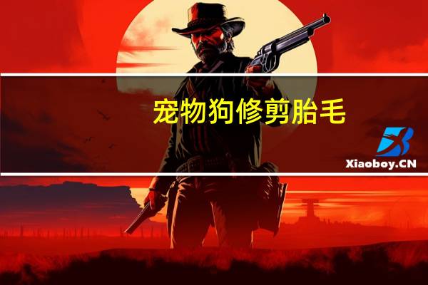 宠物狗修剪胎毛