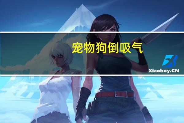 宠物狗倒吸气