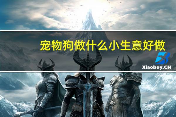 宠物狗做什么小生意好做