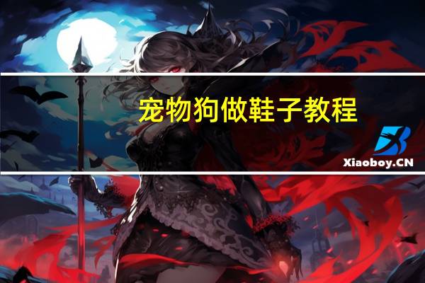 宠物狗做鞋子教程