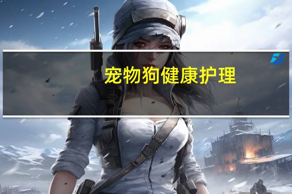 宠物狗健康护理