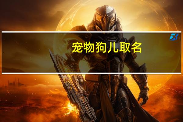 宠物狗儿取名