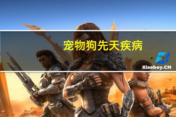 宠物狗先天疾病