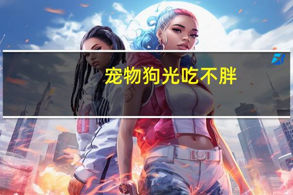 宠物狗光吃不胖