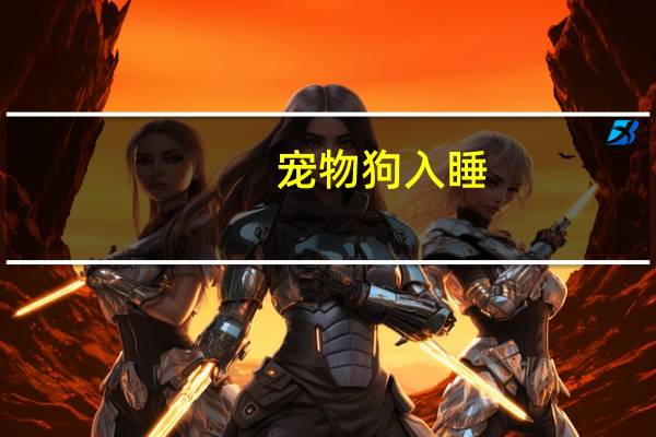 宠物狗入睡