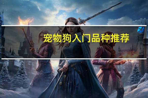 宠物狗入门品种推荐
