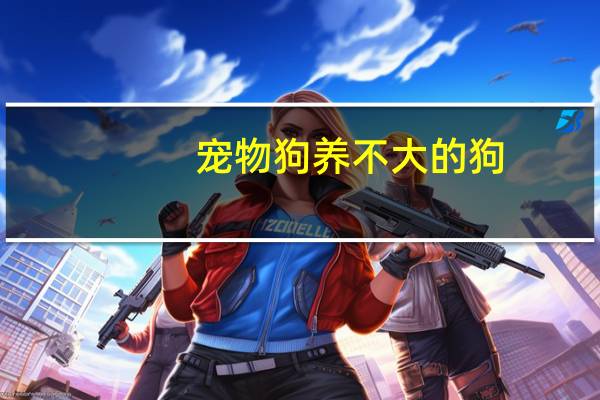 宠物狗养不大的狗