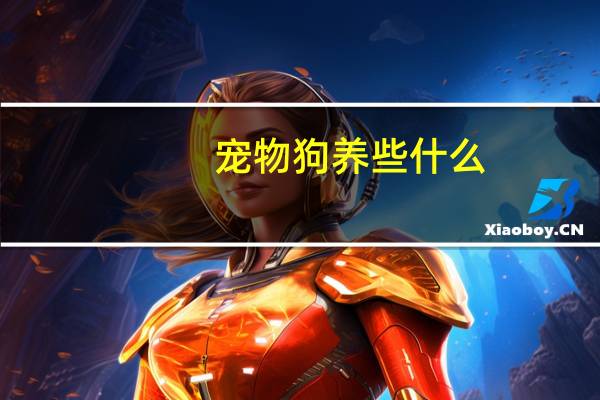 宠物狗养些什么