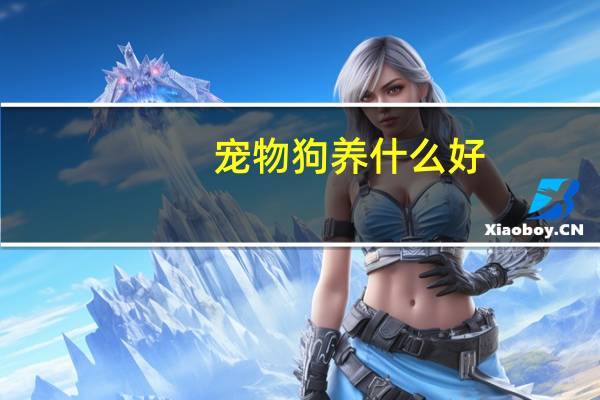 宠物狗养什么好