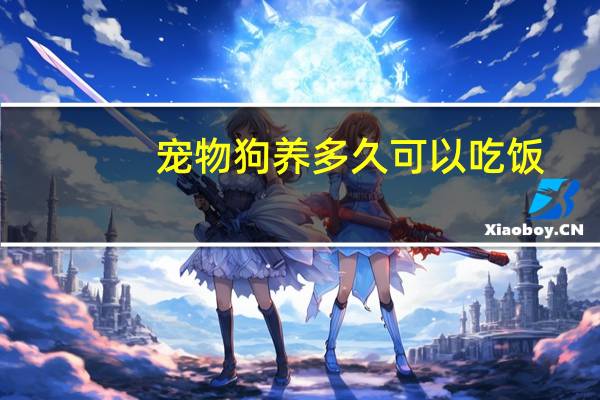 宠物狗养多久可以吃饭