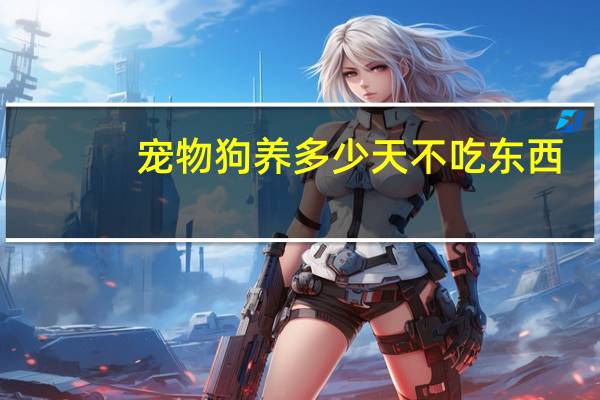 宠物狗养多少天不吃东西
