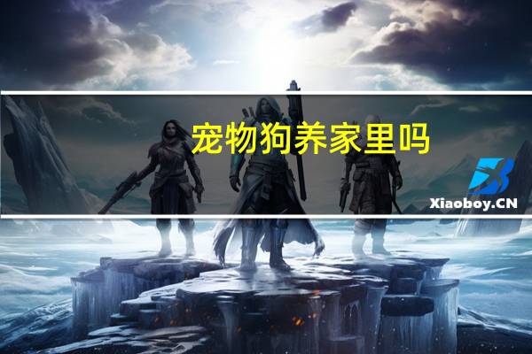 宠物狗养家里吗