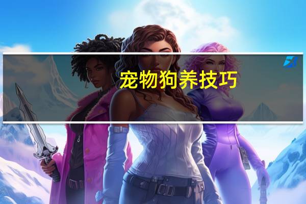 宠物狗养技巧
