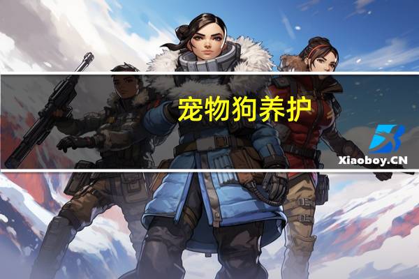 宠物狗养护