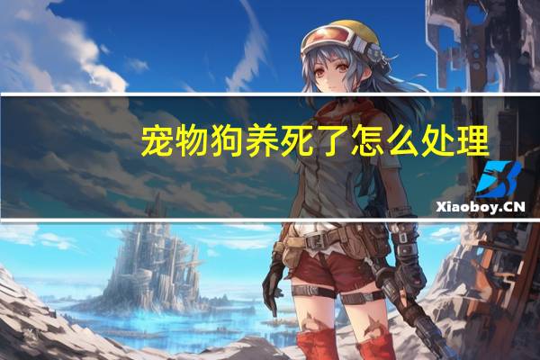 宠物狗养死了怎么处理