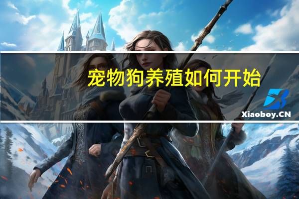 宠物狗养殖如何开始