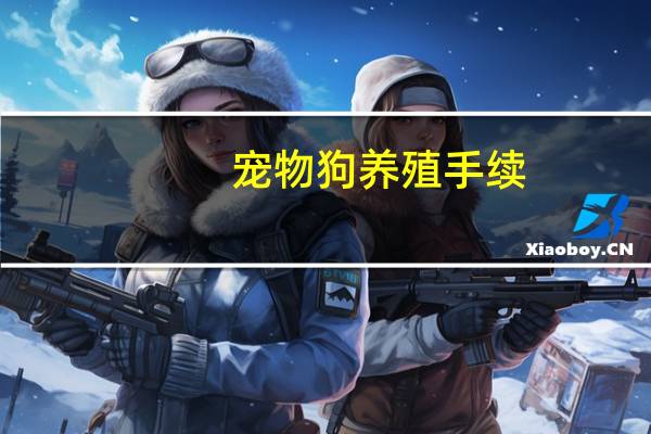 宠物狗养殖手续