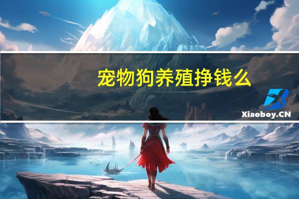 宠物狗养殖挣钱么