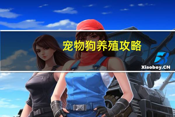 宠物狗养殖攻略