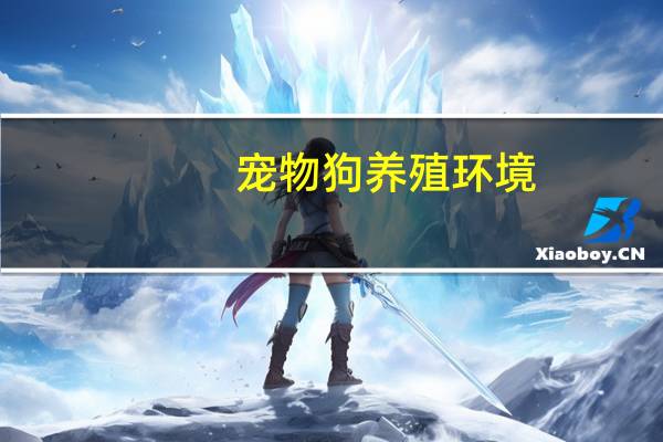 宠物狗养殖环境
