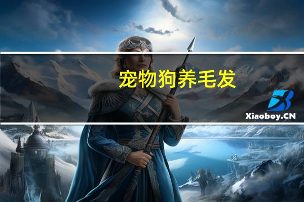 宠物狗养毛发