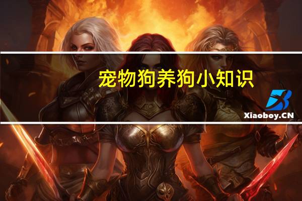 宠物狗养狗小知识