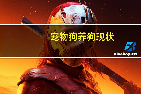 宠物狗养狗现状