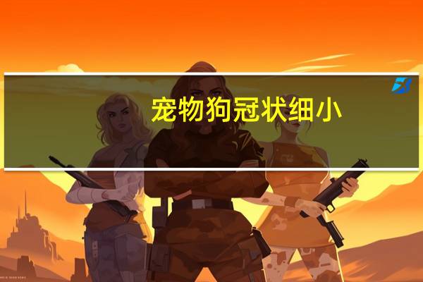 宠物狗冠状细小