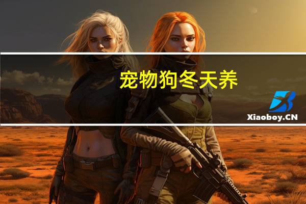 宠物狗冬天养