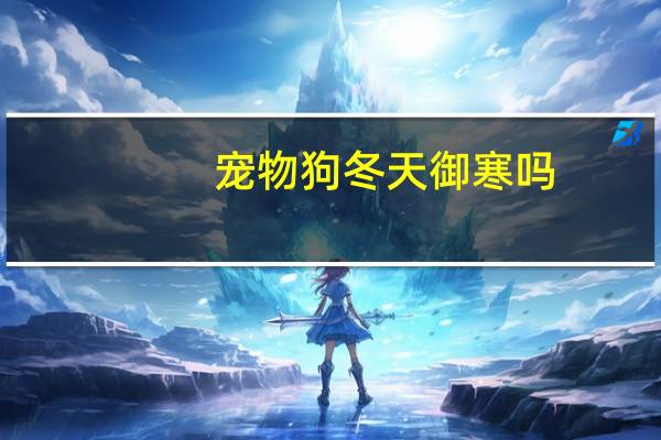 宠物狗冬天御寒吗