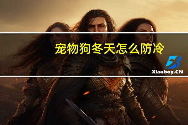 宠物狗冬天怎么防冷