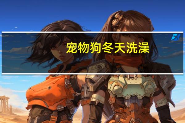 宠物狗冬天洗澡