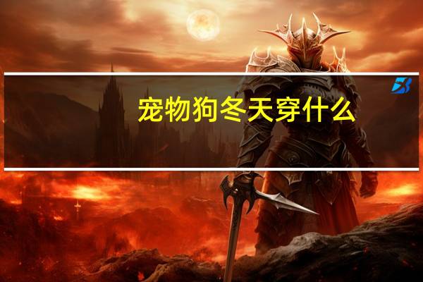 宠物狗冬天穿什么