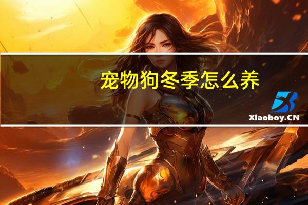宠物狗冬季怎么养
